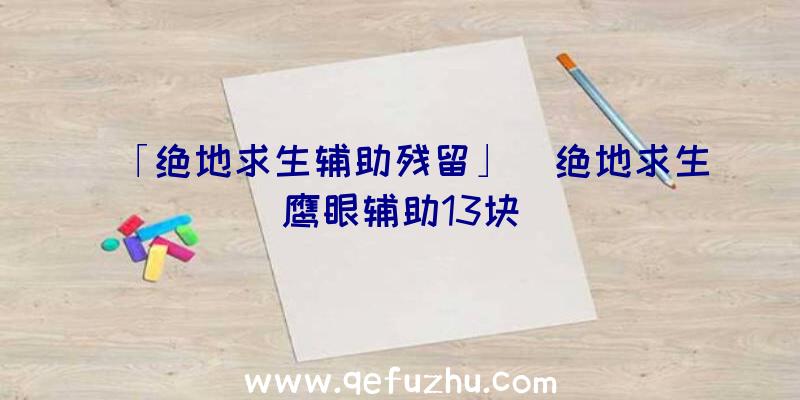 「绝地求生辅助残留」|绝地求生鹰眼辅助13块